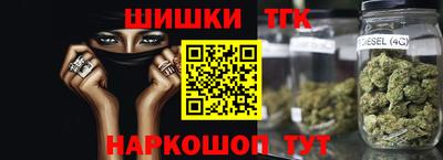 крисы Новодвинск